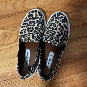 Cheetah Steve Madden